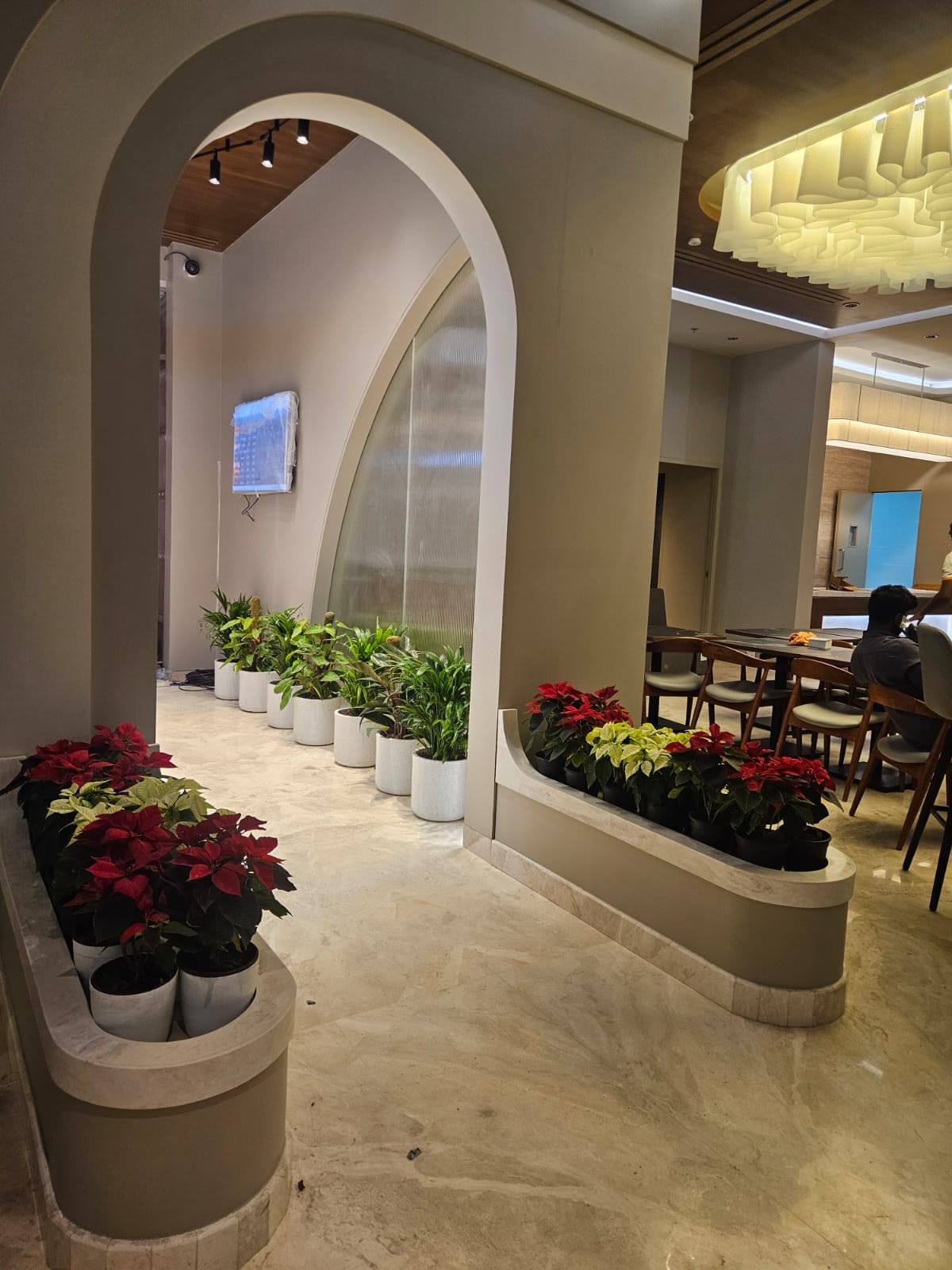 WhatsApp Image 2026-03-05 at 16.39.21